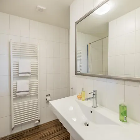 Luxurious Detached With Washer, In De Maasduinen Area Villa *